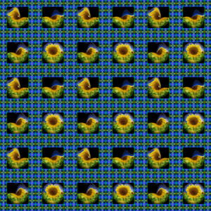 Fliesen042a-Flowers-Serie S-Bild 5Würfel3