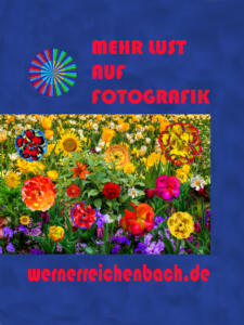 027a-Flowers-Bild001a-Plakat2-Super