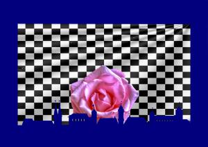 Rose-Rosa006a-Super