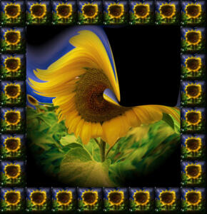 Ausstellung 46-Sonnenblumen-Papagei-3