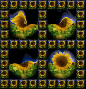 006e-FlowersS1-Sonnenblumen3Q