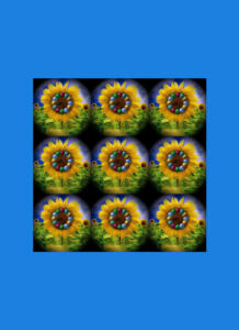 040m-Sonnenblumen-Grafik30