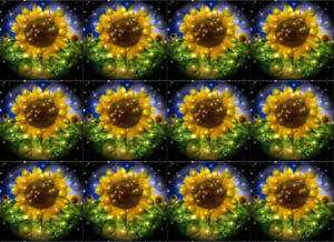 060j-Sonne15-Flowers-SerieS1-Bild15