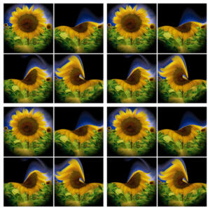 060l-Sonne16b-Flowers-Serie S-Bild 1Würfel