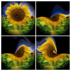 060m-Sonne16c-Flowers-Serie S-Bild 1Mosaik2