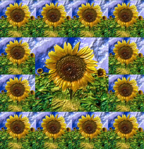 Fliesen005c-Sonne14f-Flowers-Serie S-Bild 7-Objekt
