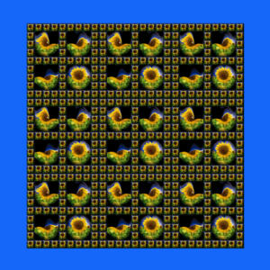 Fliesen007f-3D-FlowersS1-Sonnenblumen1