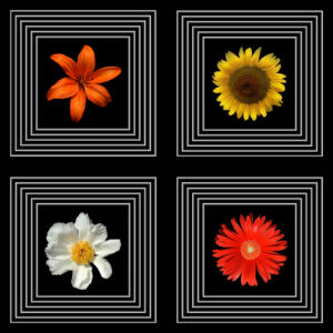 Fliesen011l-Bild015b-Flower Power 3