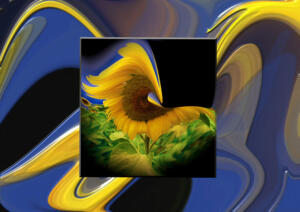15-Sonnenblumen-Papagei001e-Sup