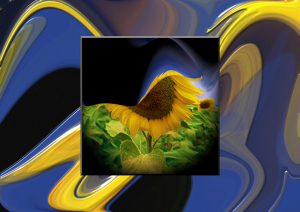 Ausstellung 08-Schoepfungsgeschichte des Sonnenblumen-Papageis-Fotos zum Kinderbuch